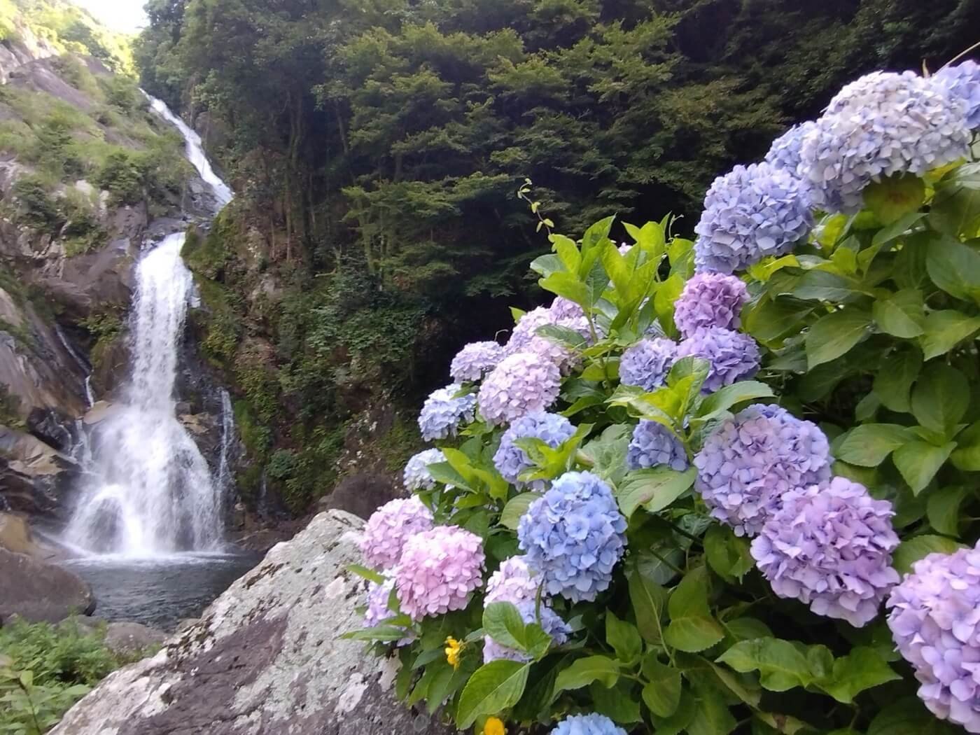 🏞️ 되돌아보는 폭포(미카에리노타키) 이미지 4